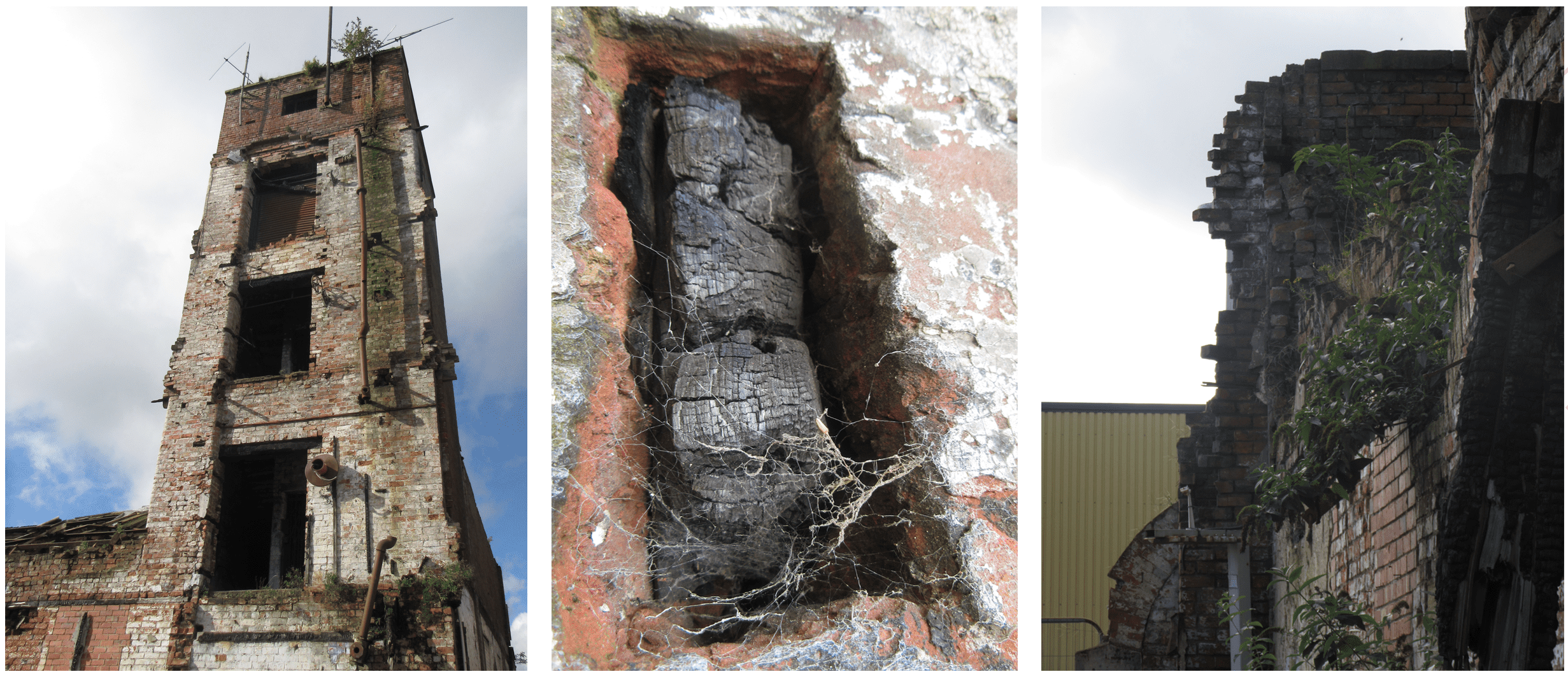 Crit future life copy