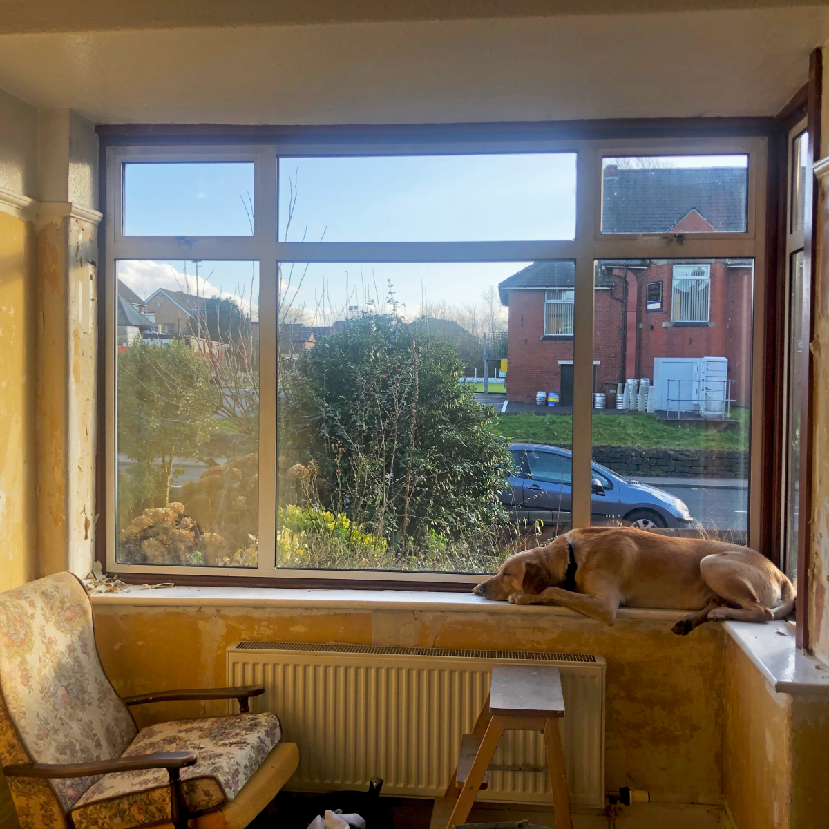 House Renovation 1 – Stripping everything&nbsp;back