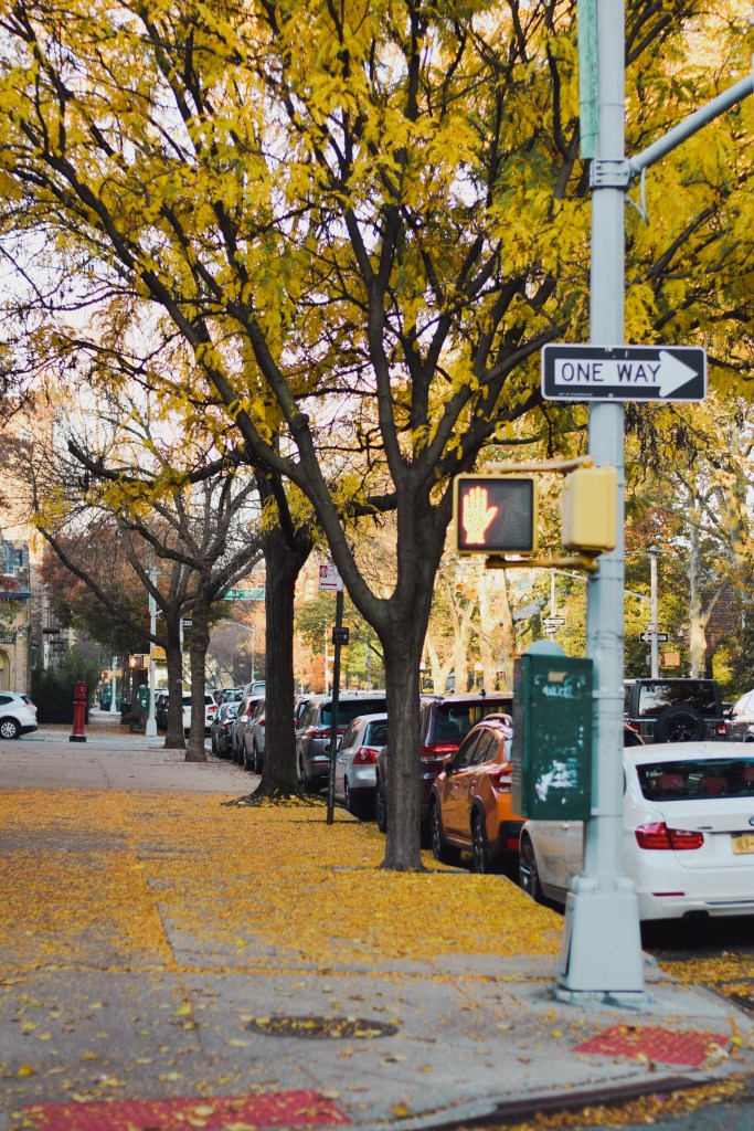 Fall/Autumn street in New York with stop walking light