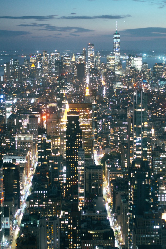 View of New York from Summit One Vanderbilt