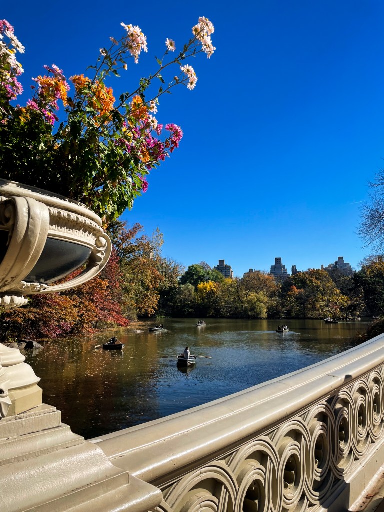 Boating lake at Central Park