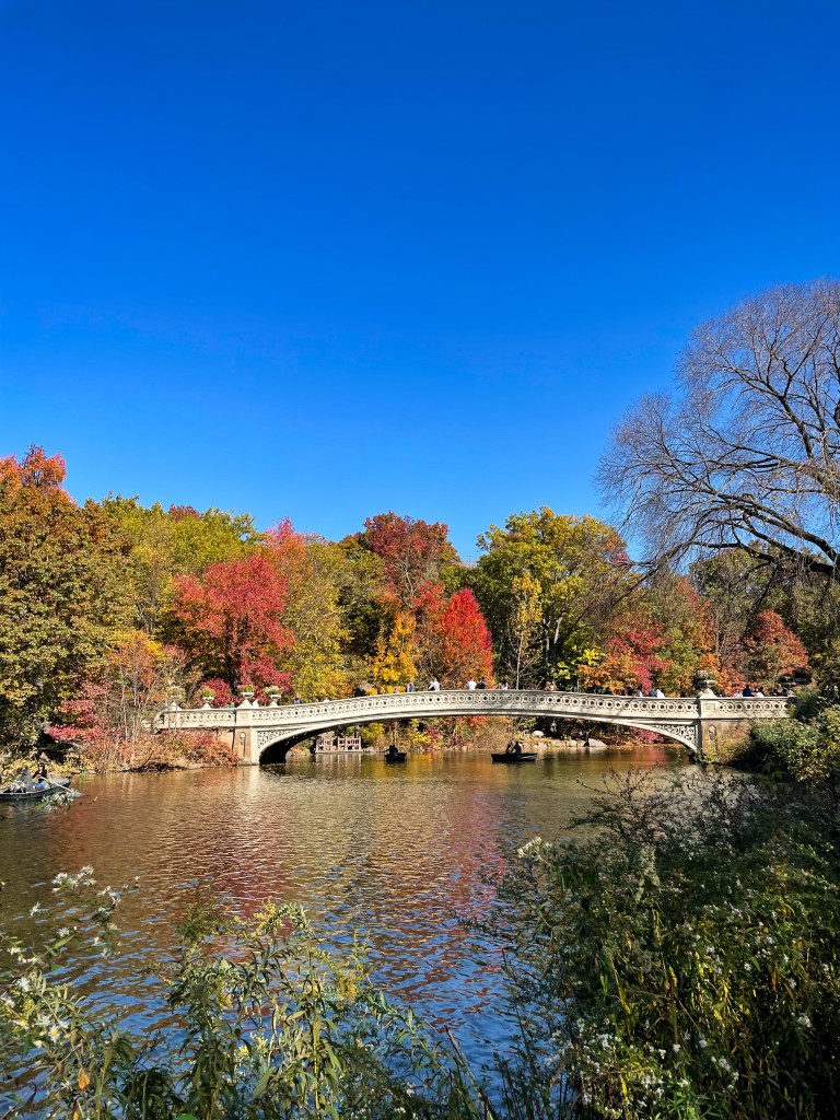 Bow bridge in Central Park New York