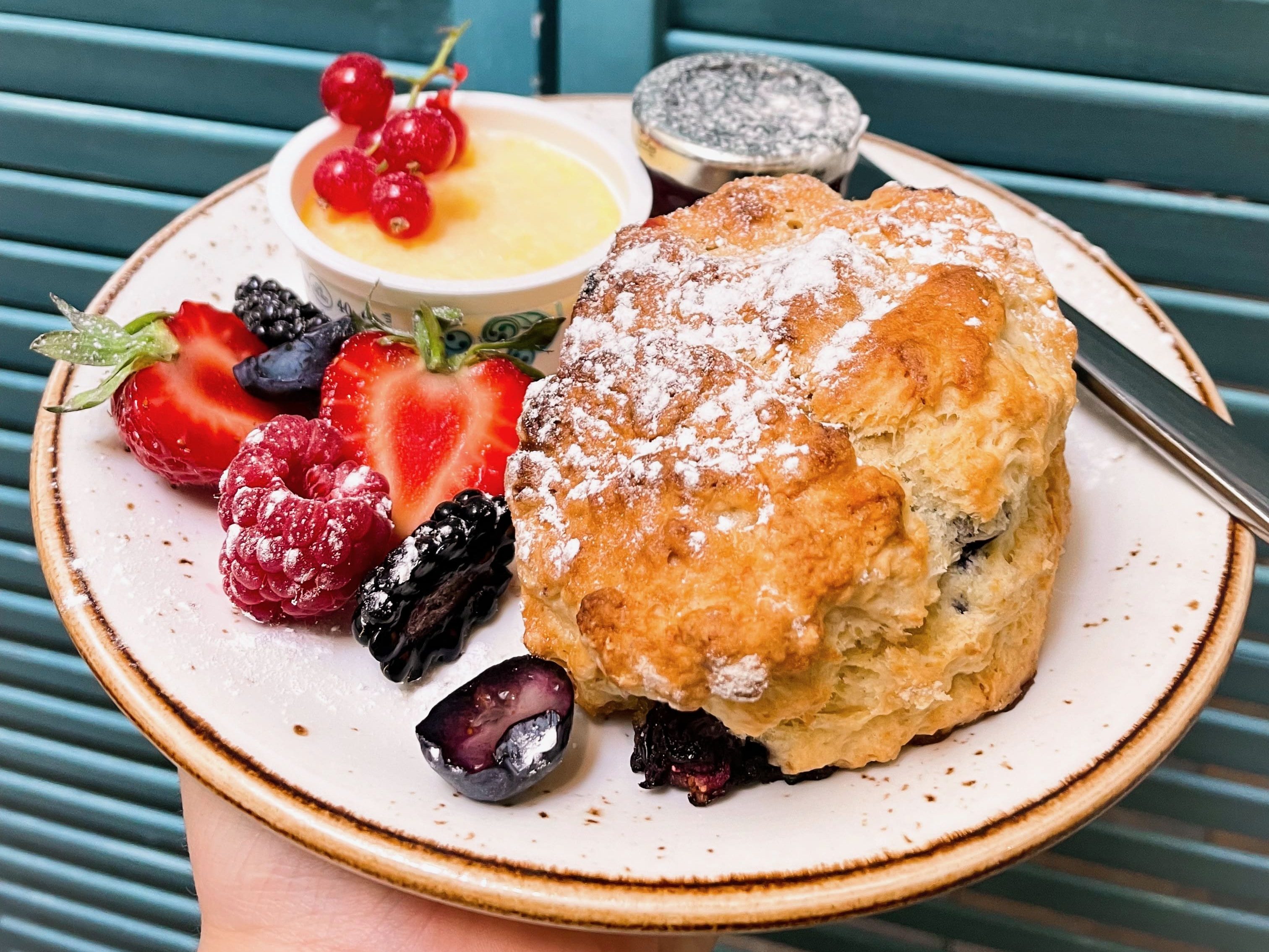 Lemon and blueberry scones Lemon and blueberry scones baked in a cafe served with berries, clotted cream and jam