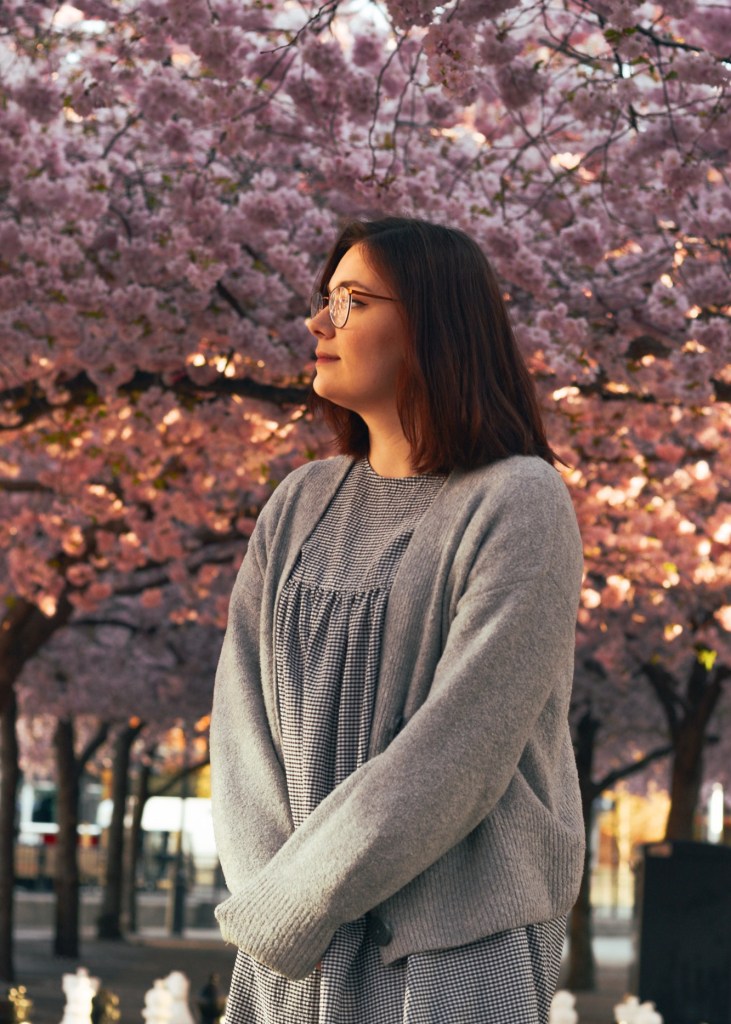 Cherry blossom season in Stockholm Sweden