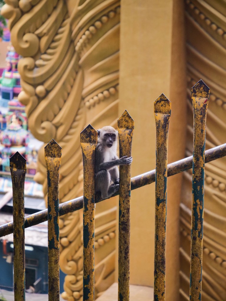 Monkey sat on railings in front of Murugan statue at Batu Caves in Kuala Lumpur Malaysia 