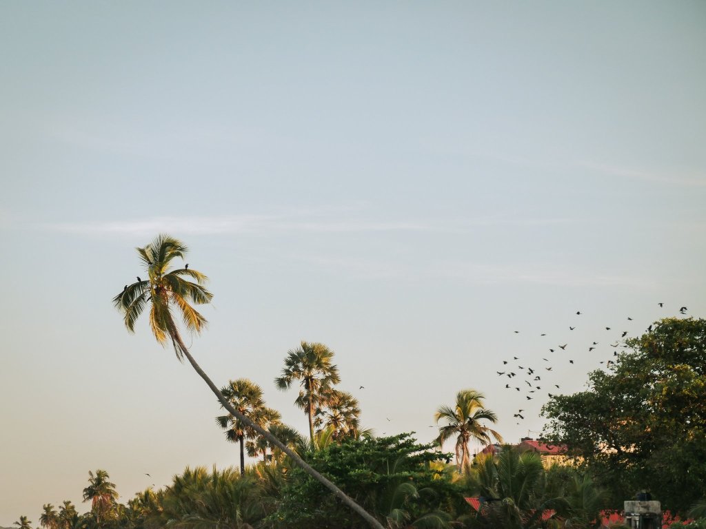Trincomalee beach at sunset, Sri Lanka